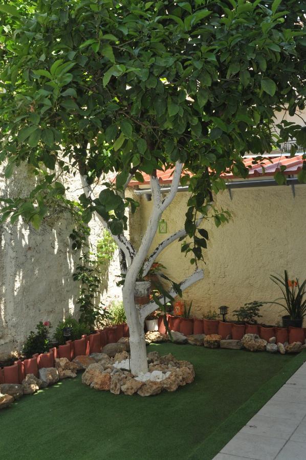 Demi'S Garden Near The Metro Of Athens Apartment Exterior photo